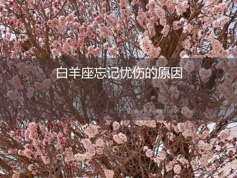 白羊座忘記憂傷的原因