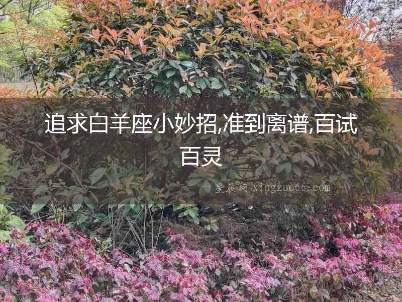 追求白羊座小妙招,準到離譜,百試百靈