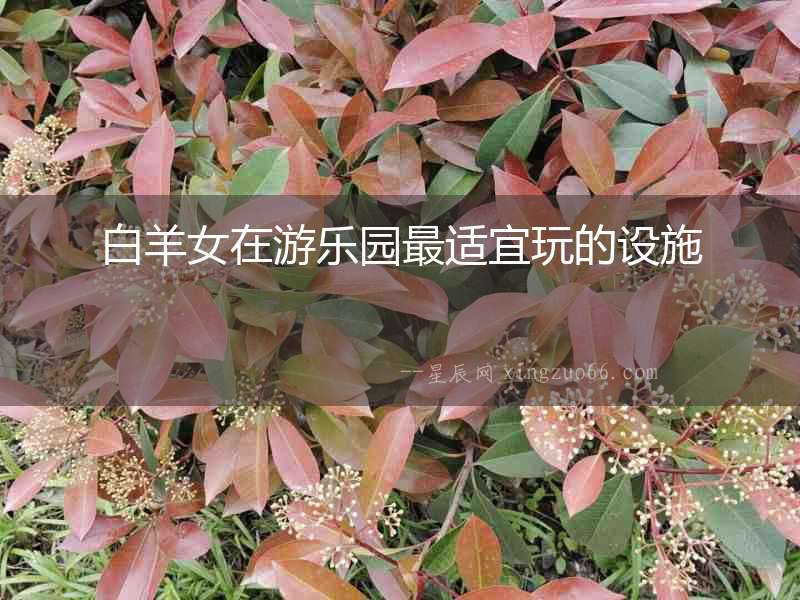 白羊女在游樂(lè)園最適宜玩的設(shè)施