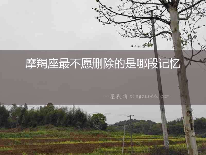 摩羯座最不愿刪除的是哪段記憶