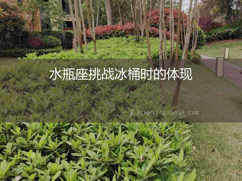 水瓶座挑戰冰桶時的體現