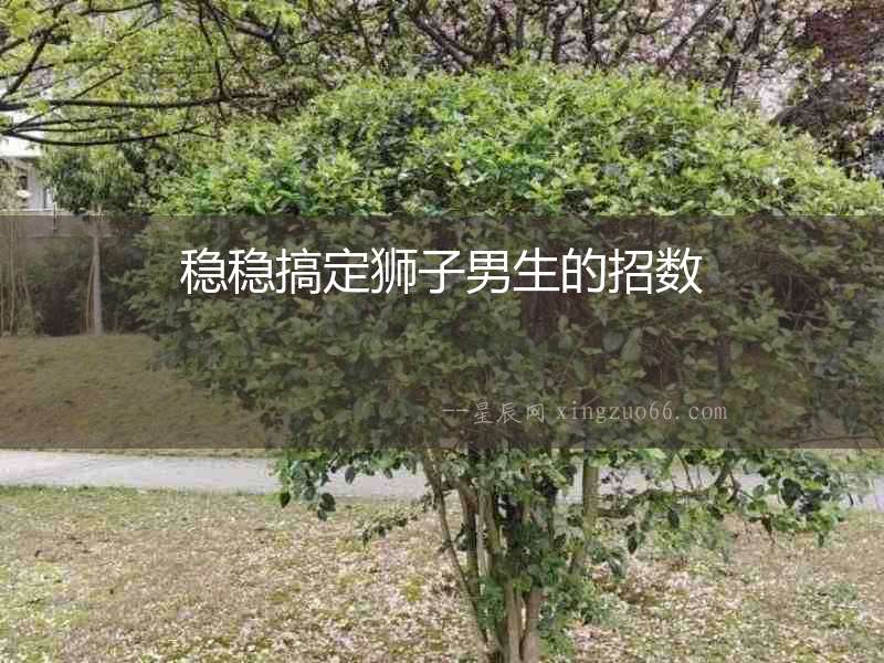 穩穩搞定獅子男生的招數