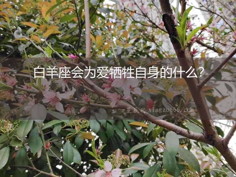 白羊座會為愛犧牲自身的什么？
