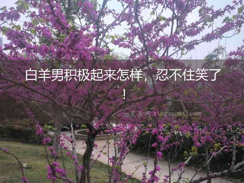 白羊男積極起來怎樣，忍不住笑了！
