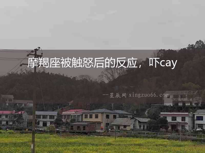 摩羯座被觸怒后的反應，嚇cay