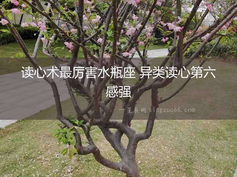 讀心術最厲害水瓶座 異類讀心第六感強