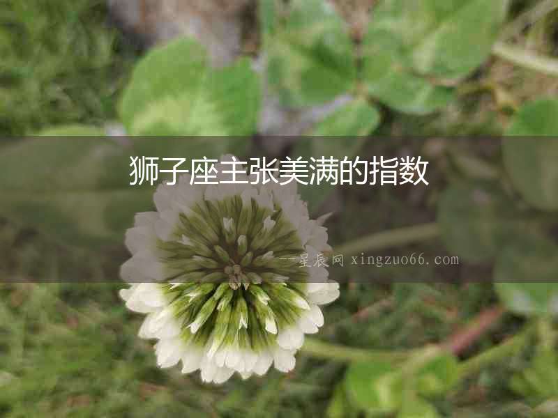 獅子座主張美滿的指數