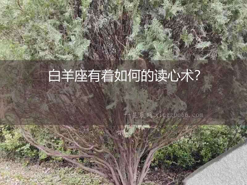 白羊座有著如何的讀心術？
