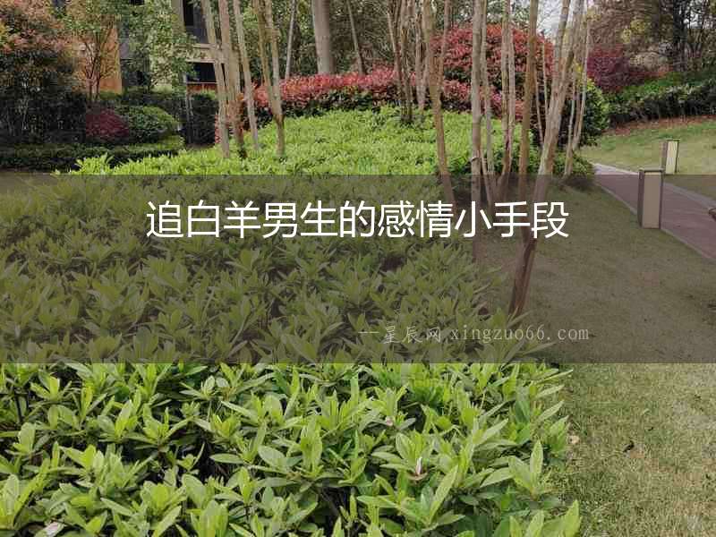 追白羊男生的感情小手段