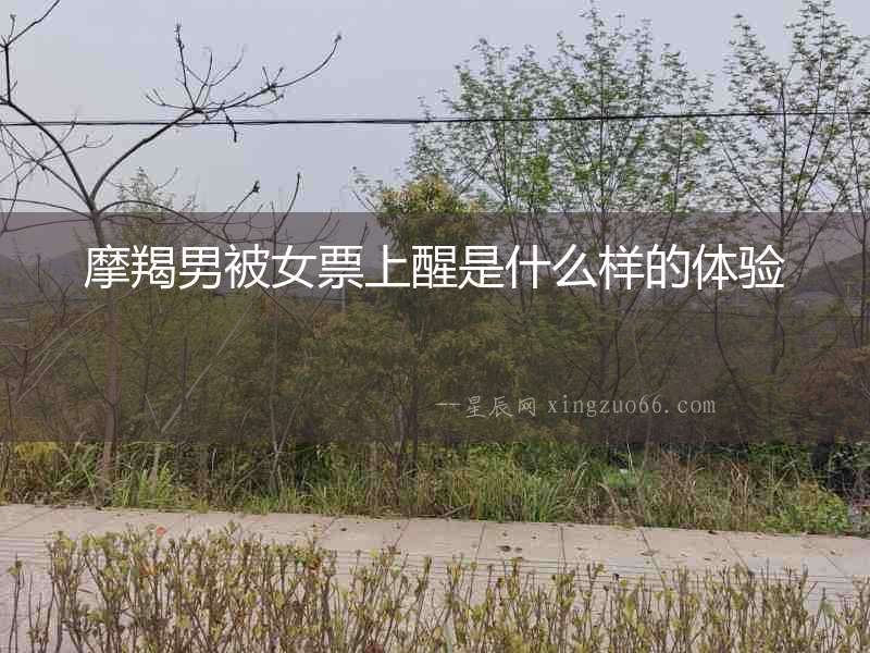 摩羯男被女票上醒是什么樣的體驗