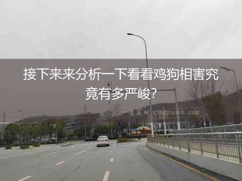 接下來來分析一下看看雞狗相害究竟有多嚴(yán)峻？