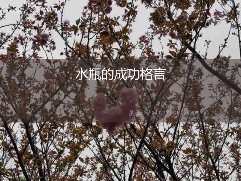 水瓶的成功格言