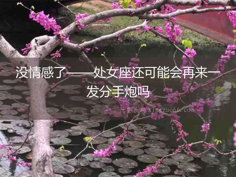 沒情感了——處女座還可能會再來一發(fā)分手炮嗎