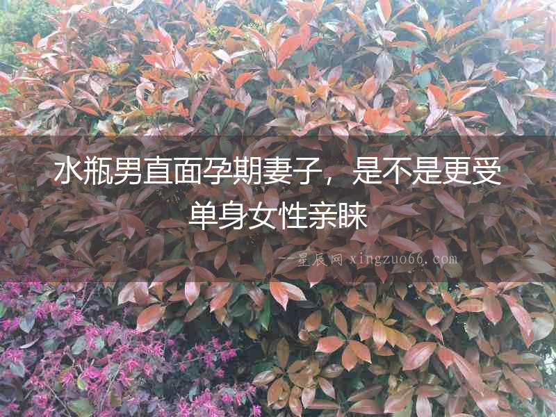 水瓶男直面孕期妻子，是不是更受單身女性親睞
