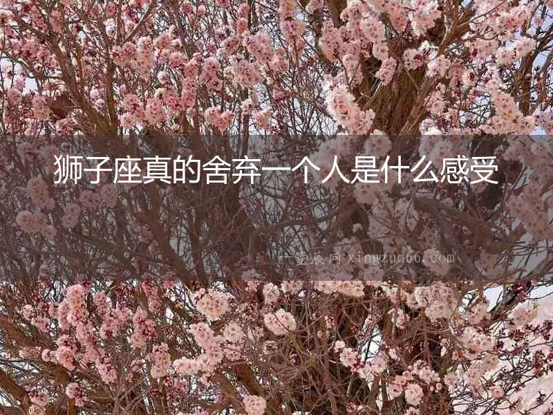 獅子座真的舍棄一個人是什么感受
