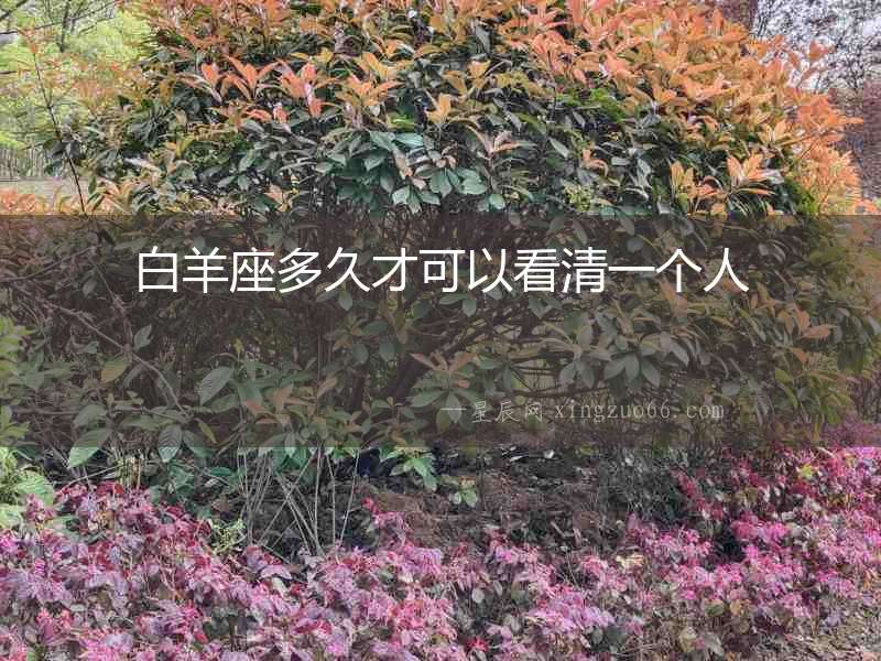 白羊座多久才可以看清一個人