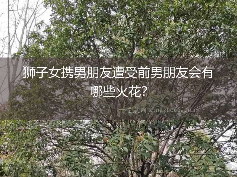獅子女攜男朋友遭受前男朋友會有哪些火花？