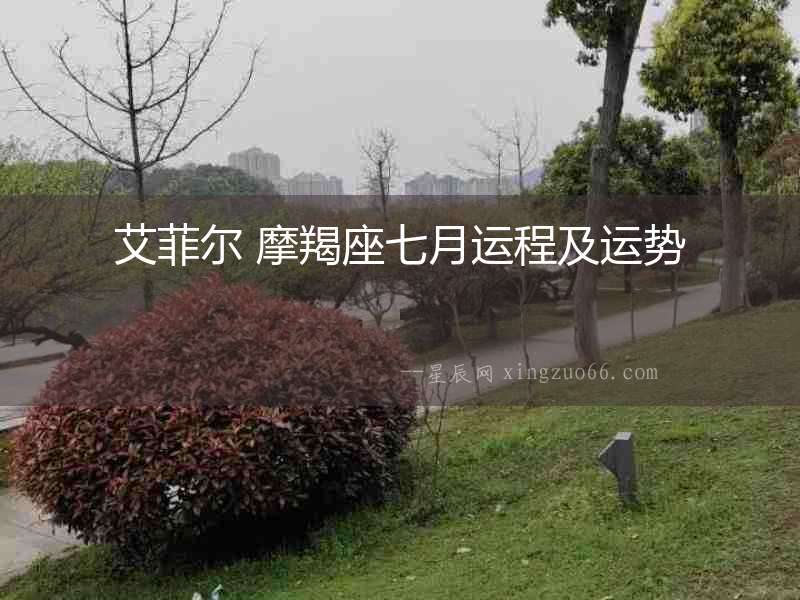 艾菲爾 摩羯座七月運程及運勢