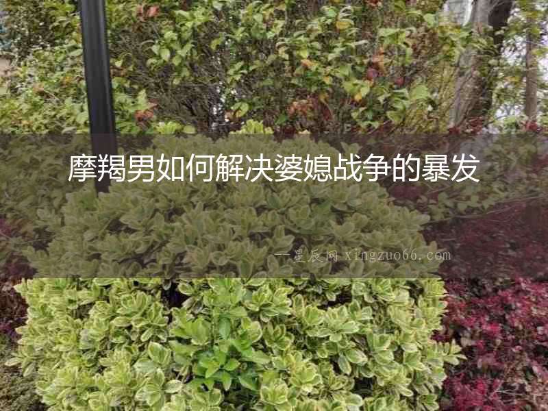 摩羯男如何解決婆媳戰爭的暴發