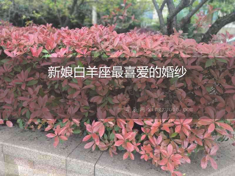 新娘白羊座最喜愛的婚紗