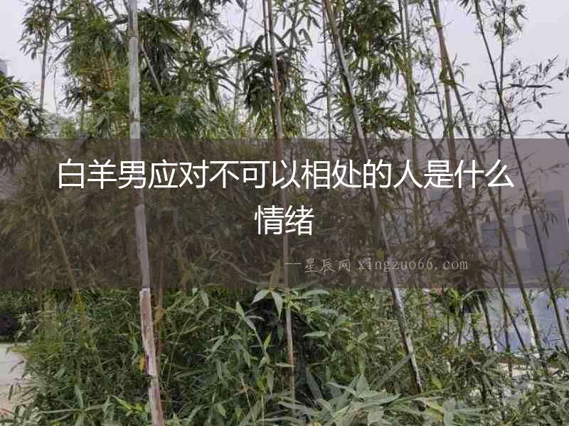 白羊男應(yīng)對不可以相處的人是什么情緒