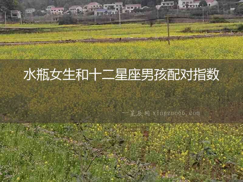 水瓶女生和十二星座男孩配對指數