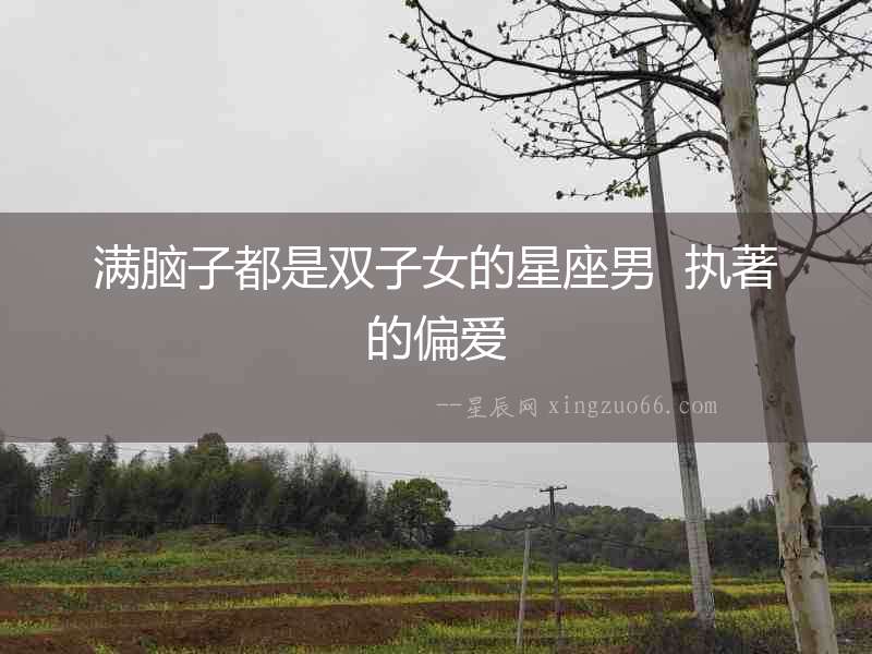 滿腦子都是雙子女的星座男  執(zhí)著的偏愛