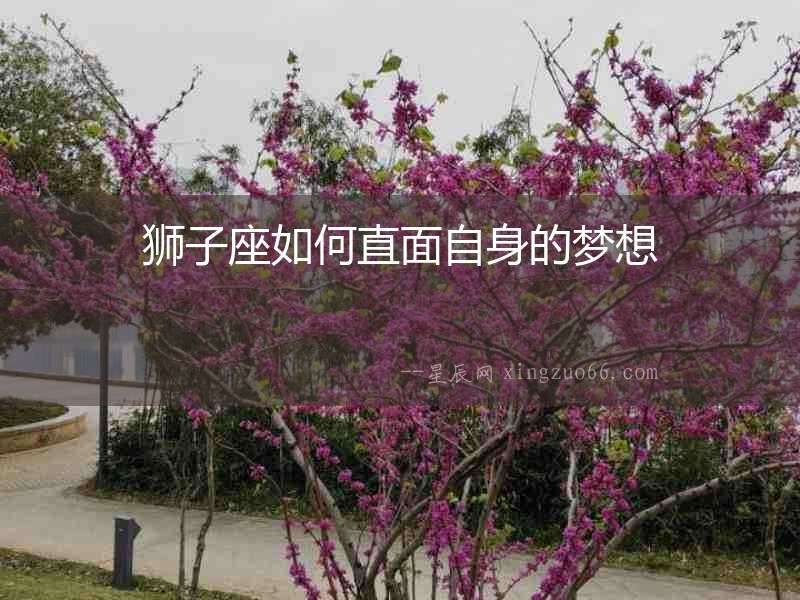 獅子座如何直面自身的夢想