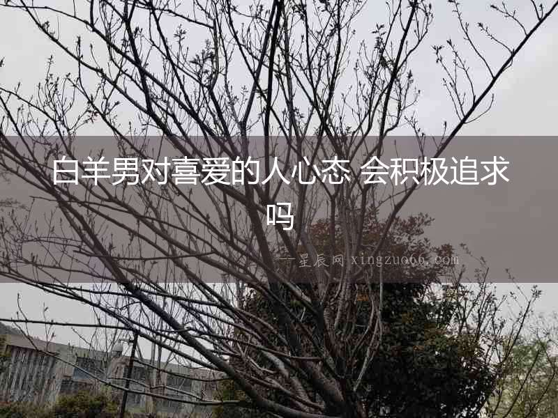 白羊男對喜愛的人心態 會積極追求嗎