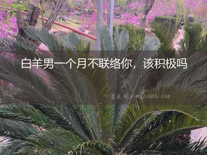 白羊男一個(gè)月不聯(lián)絡(luò)你，該積極嗎