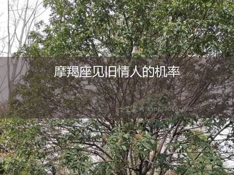 摩羯座見舊情人的機率