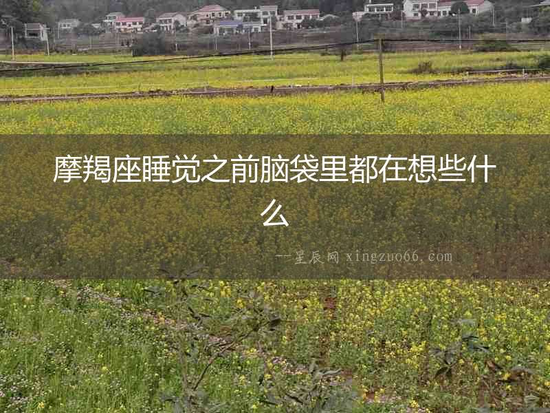 摩羯座睡覺(jué)之前腦袋里都在想些什么