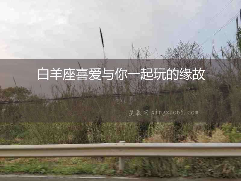 白羊座喜愛(ài)與你一起玩的緣故