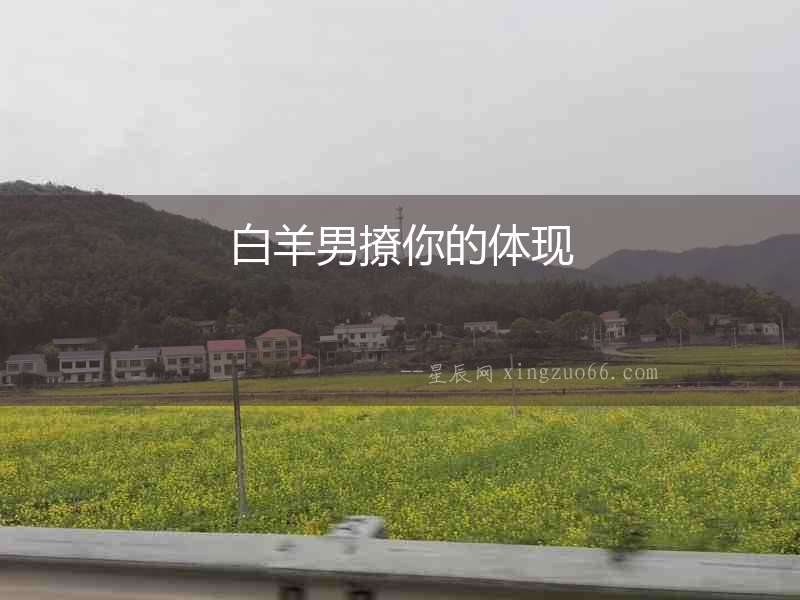 白羊男撩你的體現