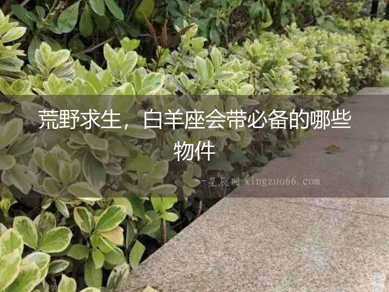 荒野求生，白羊座會帶必備的哪些物件