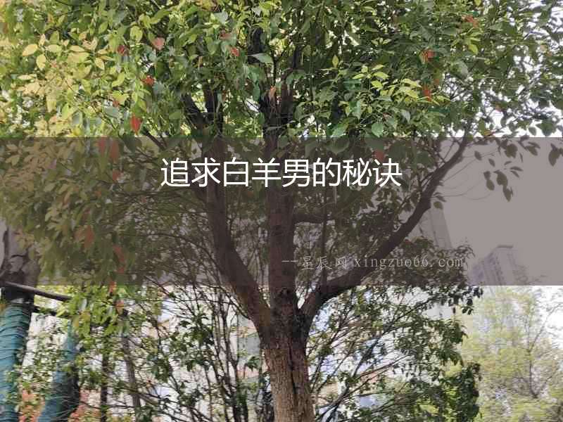 追求白羊男的秘訣