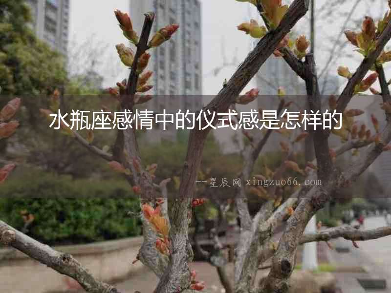 水瓶座感情中的儀式感是怎樣的