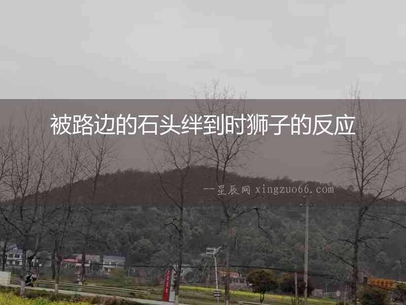 被路邊的石頭絆到時獅子的反應