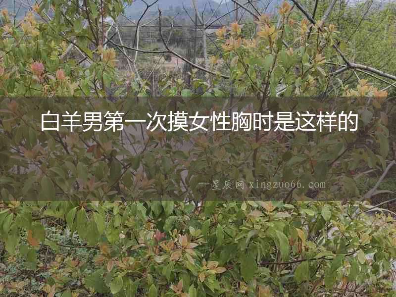白羊男第一次摸女性胸時是這樣的