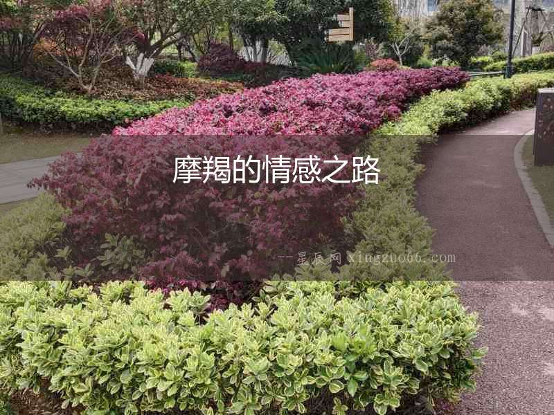 摩羯的情感之路