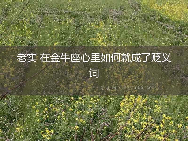 老實 在金牛座心里如何就成了貶義詞