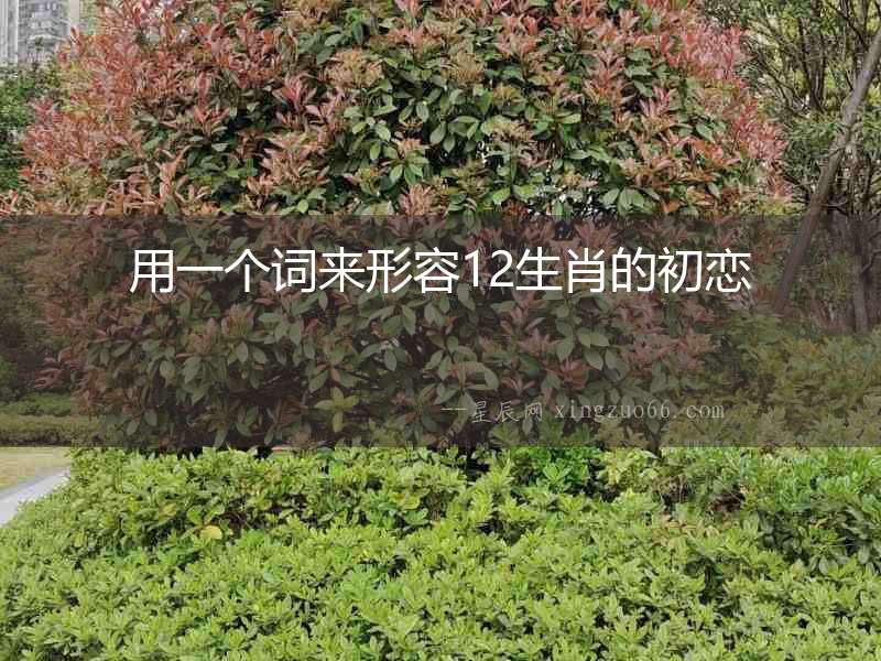 用一個(gè)詞來(lái)形容12生肖的初戀