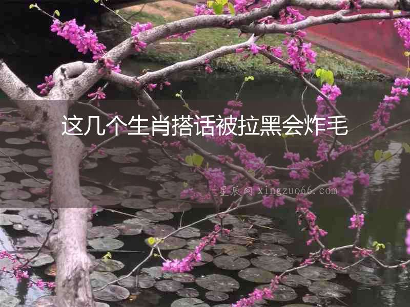 這幾個生肖搭話被拉黑會炸毛