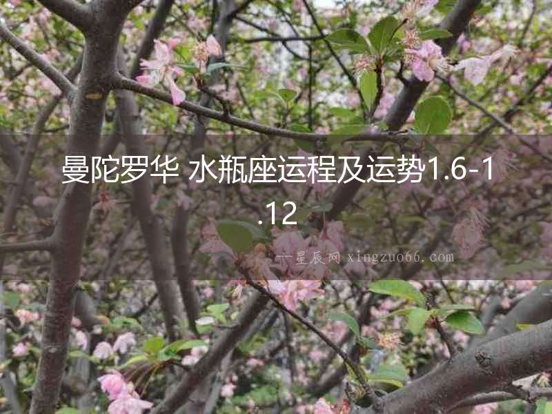 曼陀羅華 水瓶座運程及運勢1.6-1.12