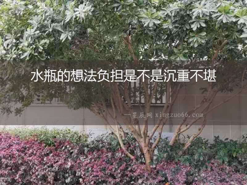 水瓶的想法負擔是不是沉重不堪