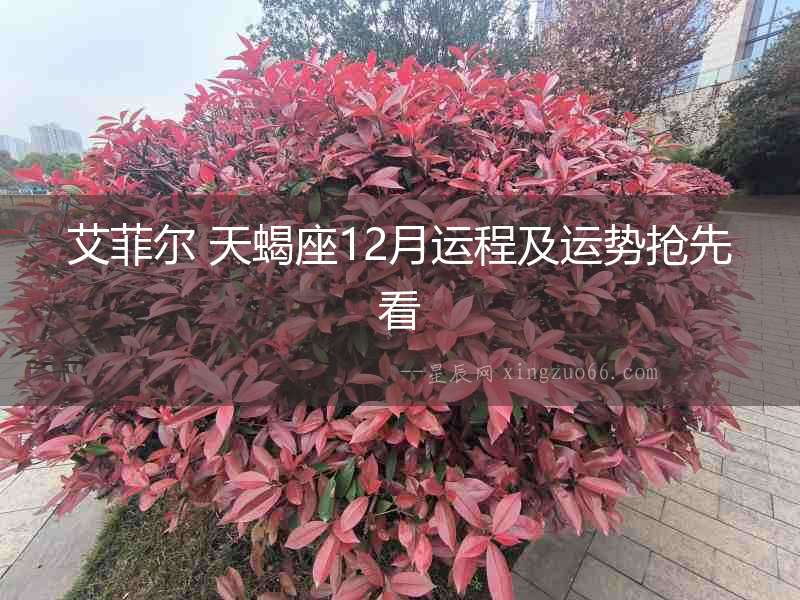 艾菲爾 天蝎座12月運程及運勢搶先看