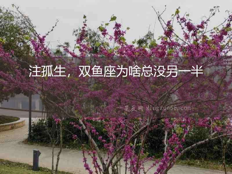 注孤生，雙魚座為啥總沒另一半