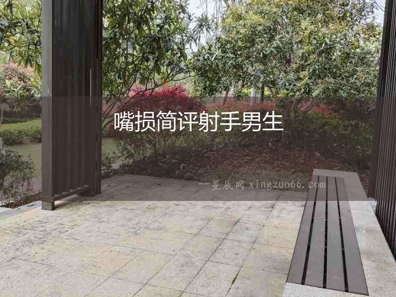 嘴損簡評射手男生