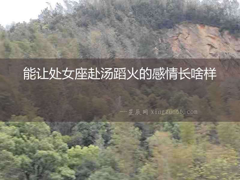 能讓處女座赴湯蹈火的感情長啥樣