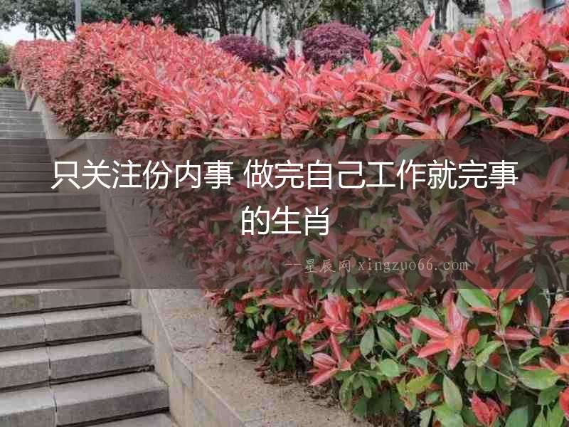 只關注份內事 做完自己工作就完事的生肖